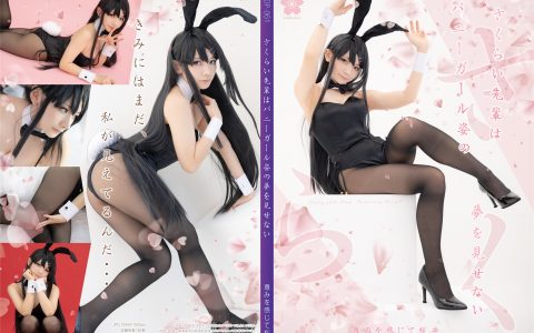 [Cosplay][8K][CherryS] Sakurai 尊みを感じて桜井 – さくらい先輩はバニーガール姿の夢を見せない