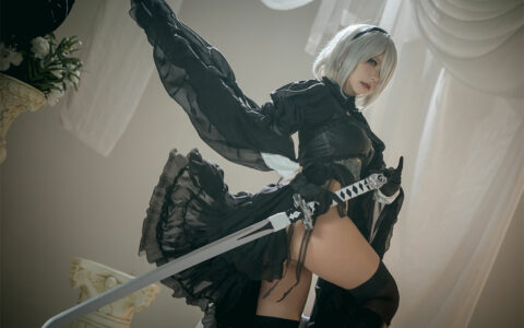 是一只熊仔 NO.14 Nier 2B Dress Ver