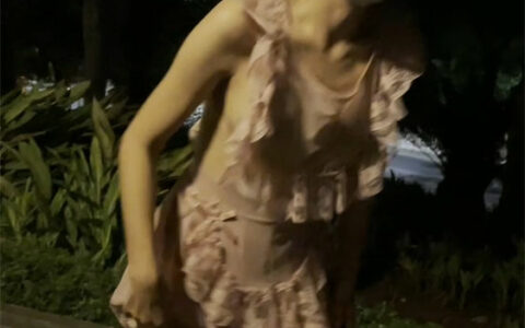 極品人妻小小星 公園街道露出飽滿的肉體 Housewife XiaoXiaoXing Outdoor [NSFW]