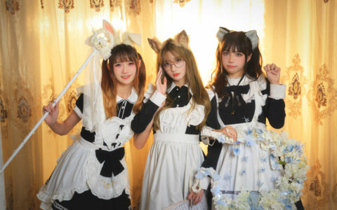 兔子Zzz不吃胡萝卜 NO.08 &Conkon控控&贰加六 魔法屋 The Magic House