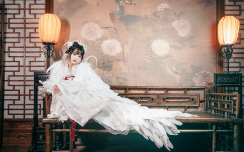 兔子Zzz不吃胡萝卜 NO.11 吉祥鸟 Lucky Bird
