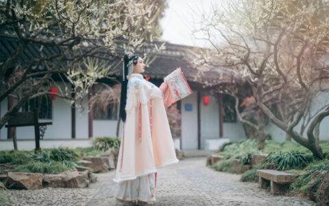 兔子Zzz不吃胡萝卜 NO.19 春来.二月梅 February plum