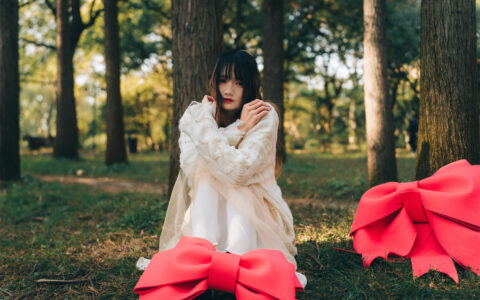 兔子Zzz不吃胡萝卜 NO.25 红色蝴蝶结 Red Bow