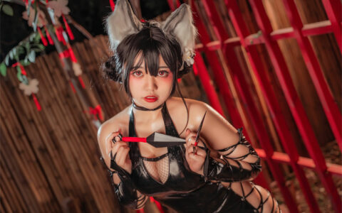 啊日日_Ganlory NO.18 忍者喵喵 Ninja Cat