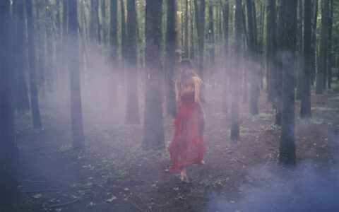 兔子Zzz不吃胡萝卜 NO.37 闯入迷雾森林 Into the misty forest