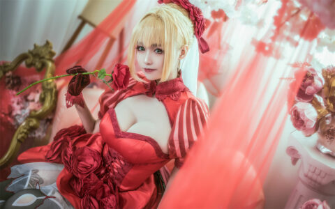 大大卷卷小卷 NO.04 尼禄·克劳狄乌斯 FATE Nero Claudius