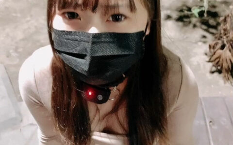 推特優質超強調教大佬[奴隸物語]新奴兔兔羞恥露出篇 Slave Story[NSFW]