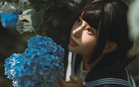 凛子酱 NO.20 紫阳花 Hydrangea macrophylla