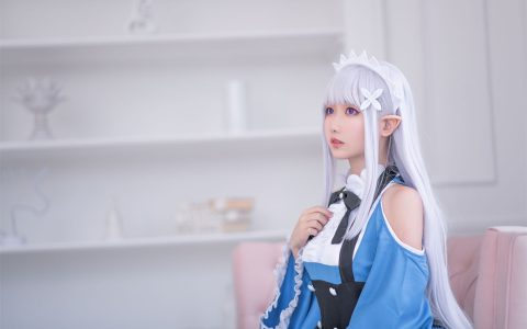 小木曾AYA - Re0爱蜜莉雅 罗森女仆 Emilia Maid [18P-121MB]
