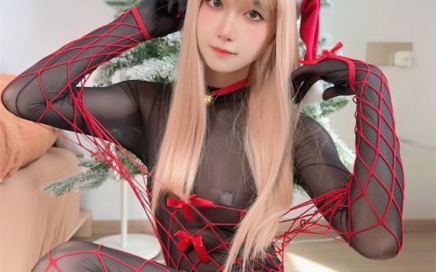 布丁大法 – 圣诞礼物? Xmas Gift[25P+3V／93MB]