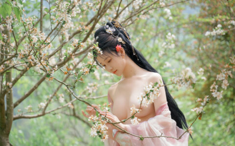 年年Nnian - 海棠仙 begonia fairy[NSFW][84P／337MB]