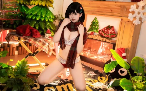 虎森森 - 圣诞快乐 Merry Christmas [55P／940MB]