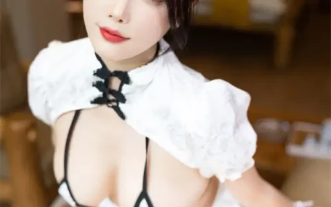 杨晨晨Yome - 秀人网 4K Collection 04 Dec 2025