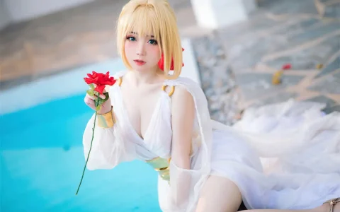 焖焖碳 - FGO 尼禄 礼服 Nero Dress [27P／262MB]