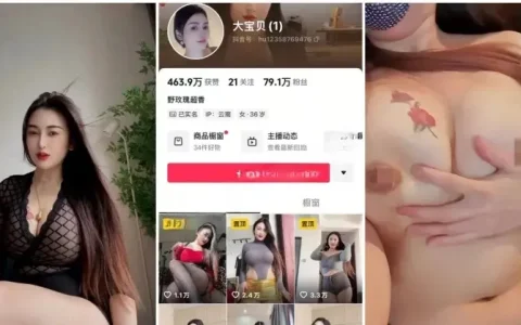大宝贝 – 抖音泄密 79万粉大网红 性爱 私拍 流出[MP4-15V-2.06GB]