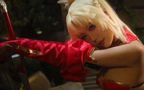 湖里狸 - 莫德雷德 fate Mordred